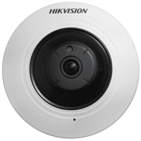 Видеокамера IP Hikvision DS-2CD2955FWD-I